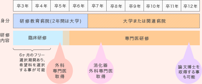 医員（非大学院）コース