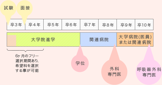 大学院優先コース（いち早く研究を希望する場合）