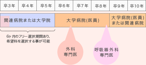 呼吸器専修・医員コース