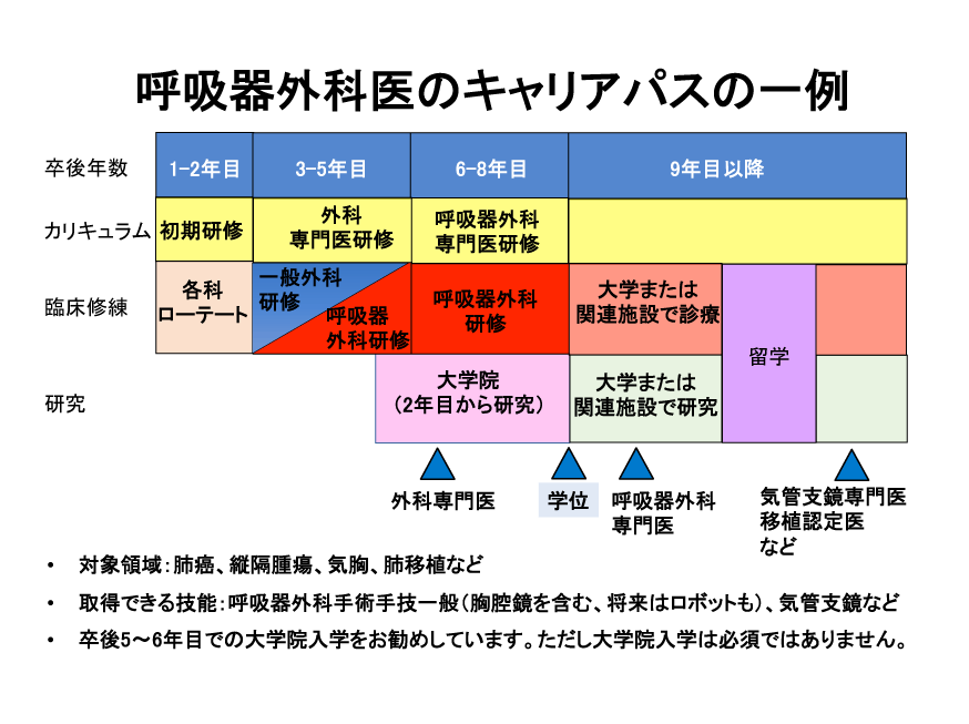 消化器、乳腺・内分泌 コース概要