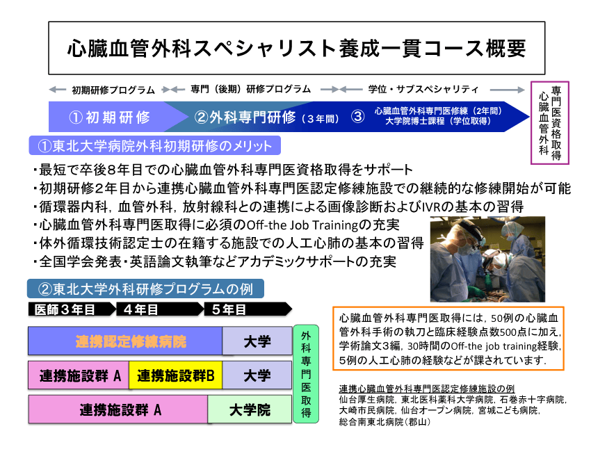 心臓血管外科コース概要